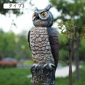 9 ӂ낤 K[f IuWF ^Cv fBXv[ o[h u   tNE u 킢   u v[g 蕨 ӂ낤G K[f  ӂ낤ObY Ő F