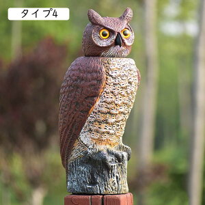 9 ӂ낤 K[f IuWF ^Cv fBXv[ o[h u   tNE u 킢   u v[g 蕨 ӂ낤G K[f  ӂ낤ObY Ő F