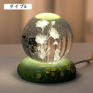 NX^{[  IuWF  ObY ʐ^Be KX ^Cv1 CeA i NX^ u 6cm ObY  j v[g CeACg LED  