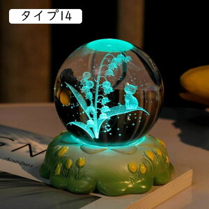 NX^{[  IuWF  ObY ʐ^Be KX ^Cv1 CeA i NX^ u 6cm ObY  j v[g CeACg LED  