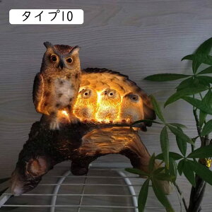 K[fI[ig \[[u t[nEX \[[v \[[ ^Cv \[[Cg K[[fCg 킢 u  h ϋv AeB[N F v[g  O A