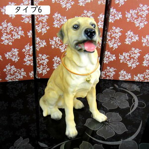 ̒u I[ig 킢    ~jTCY G u IuWF Aj}IuWF CeA ގ }XRbg 낢u  CeA