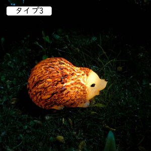 \[[Cg K[f Cg \[[ O h ^  tNE C~l[V ^Cv K[fI[ig u _ K[fjOIuWF Ə Mtg v[