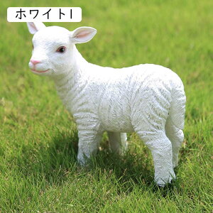 O u CeAu Xܑ AEghA B rO IuWF qcW IV k n Vv Aj} ~hTCY Ђ u K[fI[ig ϋv zCg J