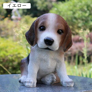 K[fI[ig IuWF  W Xܑ  K[fjO 蕨 B ObY i n fR[V JCCu u F Aj} |[Y JCC CeAI