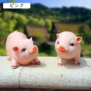 O IuWF JCCu rO  LOi u u^  k n JCC ~jTCY f sN B 蕨 fR[V ϋv [g[̑ h Mtg 