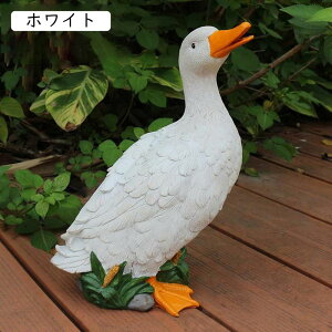 O u CeAu Xܑ AEghA rO IuWF Ђ IV k n Vv Aj} ~hTCY zCg u K[fI[ig ϋv JCCu