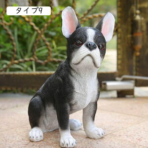 IuWF u K[f   u ̒u I[ig  h  k K[fjO H|i Ő  낪ɂ₩ K[fjOu F i   ^Cv