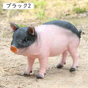 O u CeAu B Xܑ AEghA rO IuWF sbO IV k n Vv Aj} ~hTCY sN u K[fI[ig ϋv JCCu