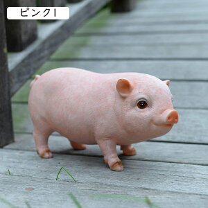 JCCu Aj} u Ԃ B W rO K[fjO   CeAu 蕨  ObY sN i IuWF ubN sbO u^ i` u