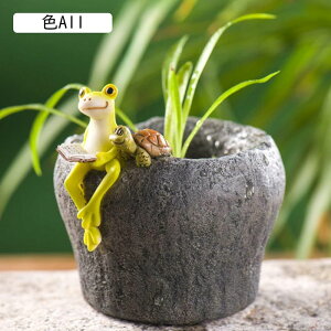 Aq R|[ JG ObY u G  JG R|[V[Y Ђ Aq sR R|^E JG u  CeA rO  킢 FA  G