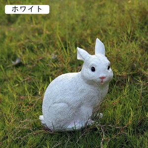  u u G݃ETM e CeAIuWF F 킢 gG AeB[NG B  L[g JCCu Ԃ GXjbN CeA fR[V  