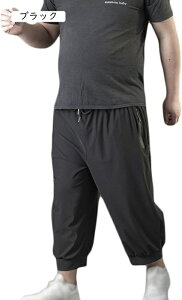 n[tpc Y Ђ  7  W[W pc  傫TCY  IV hC l Y{ {g {gX X|[cEFA g[jOEFA jOE