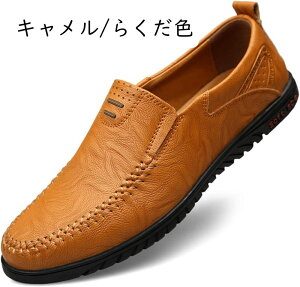 hCrOV[Y [t@[ Y JV Y rWlXV[Y Xb| RC[t@[ wC 傫ȃTCY y h hL h ʋC JV y JWA fbL