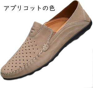 Y V[Y hCrOV[Y Y v [t@[ JV rWlXV[Y JWA amC ʋC L ʋ ^] hCrOV[Y Y [t@[ rWlXV