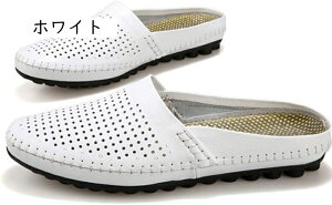 T_ rWlXV[Y Ep T{T_  Xb| NVbN JV V[Y JWA hCrOV[Y [t@[V[Y C ƂȂ Y hCrO