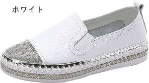 Xj[J[ fB[X [JbgXj[J[ rW[ y r TChSA ₷ fB[XC LL ubN zCg CXg[ [q[ JWA WMO 