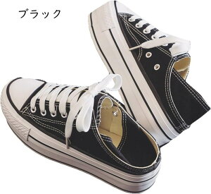 EH[LOV[Y fB[X y LoX 5cm [XAbv Xj[J[ ₷ Ȃ 2WAY r i[XV[Y Ōt ƌC 傫TCY tbgXj[J[ nCL