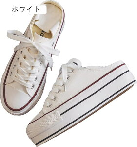 EH[LOV[Y fB[X y LoX 5cm [XAbv Xj[J[ ₷ Ȃ 2WAY r i[XV[Y Ōt ƌC 傫TCY tbgXj[J[ nCL