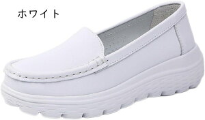  Xb| fB[X ₷ Xj[J[ ҂݂   r Ȃ ؂ 5cm V[Y JWA ʋ ʊw ^C ɂȂ Vv   tďH 