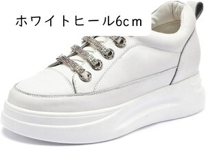 Xb| fB[X  Xj[J[ ۂ 傫TCY zCg   ubN ₷ V[NbgV[Y [Jbg ؂ y^R rW[ LL  C V