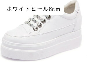 Xb| fB[X  Xj[J[ ۂ 傫TCY zCg   ubN ₷ V[NbgV[Y [Jbg ؂ y^R rW[ LL  C V