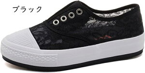 Xb| T_ Xj[J[ fB[X  JWAV[Y EFbW\[ Ȃ ₷ ɂȂ V[Y ʊw ʋC ʋ ԕ bV [X [Jbg 