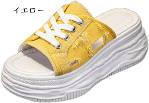 Xj[J[ ƂȂ fB[X Xb| y LoX V[Y EFbWq[ 7.5cmq[ r JWAV[Y   ₷ n ʋC ₷ ʊw