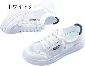 fB[X EH[LOV[Y [XAbvV[Y  Xj[J[ Ōt y Xj[J[ ƌC ₷ Ȃ wlC V[Y JWA ʋC 킢 w 