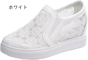 Xb| T_ Xj[J[ fB[X  JWAV[Y EFbW\[ Ȃ ₷ ɂȂ V[Y ʊw ʋC ʋ ԕ bV [X [Jbg 