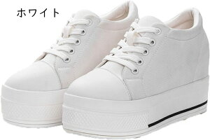 Cq[Xj[J[ fB[X Xj[J[ ^C EH[LO V[Y [JbgJWAV[Y 킢 r [XAbv q[Abv y ɂ 9cm gAbv 