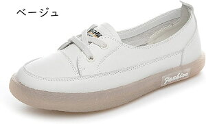 Xj[J[ tbgV[Y y^R  fB[X Xb| [XAbv IV 킢 JWAV[Y  ₷  l C C L [Jbg [t@