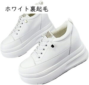 EFbW\[ Xj[J[   fB[X Cq[ [X TChSA C\[Xj[J[ ₷ EH[LO i s C t  [Jbg Xj[J[ JW