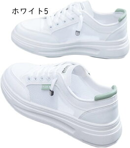 Xj[J[ fB[X [Jbg [XAbv JWAV[Y jOV[Y Xb| ₷ ɂ ~ ʋC 킢  ʋ Z w ʊw