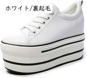 fB[X [XAbvV[Y  Xb| 12cmEGbW\[ U[ Xj[J[ [t@[ [Jbg r vbgtH[ h Ȃ ₷ Ōt gAbv  