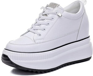 _X Xj[J[ fB[X nCJbg   y Xj[J[ Cq[ nCJbgXj[J[ w C V[NbgV[Y [XAbv Xj[J[ ʋ ʊw \ ɂ