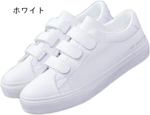 Xj[J[ fB[X   킢 JWA V[Y }WbNe[v V[Y xN Xb|  r ʊw ʋ d C Vv [Jbg WjA ɂ E