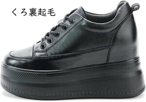 [XAbv ʋC Xj[J[ fB[X JWA Cq[ C EFbW\[ C\[Xj[J[ p ʊw ʋ ł ₷ C ₷ [XAb