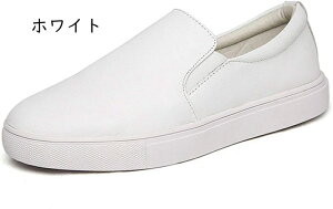 Xb| {v y fB[X Xj[J[ 傫TCY   tbgV[Y ₷ JWAV[Y r JWA ₷ E₷ ɂȂ ؂ 킢 