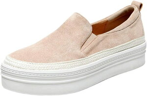  [t@[ Xb| fB[X JWAV[Y r g 4.5cmq[ ₷ Ȃ [Jbg JV ʋ ʊw  ubN x[W pvX