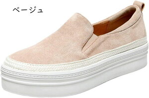  [t@[ Xb| fB[X JWAV[Y r g 4.5cmq[ ₷ Ȃ [Jbg JV ʋ ʊw  ubN x[W pvX