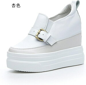 {v Xj[J[ Xb| fB[X Cq[  y ₷ Ȃ ₷ r ʋ ʊw  JWA ItBX t   Xb| V[NbgV