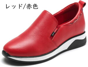 Xj[J[ JWAV[Y fB[X C Xb| wlC i[XV[Y RtH[g ؂ vbgV[Y d Ȃ L b ̌C ʊw ʋ AEghA X|