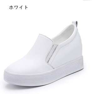  Xb| fB[X Xj[J[ Cq[   ₷ y ʋC Cq[Xb| V[NbgV[Y [t@[ EhgD [Jbg JWA  ʊw 