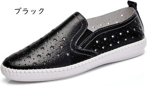  Xb| fB[X EFbW\[ ɂ Xj[J[  [Jbg Cq[ JWAV[Y 傫TCY EhgD t ăV[Y d s ʊw 