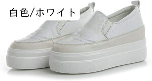 Xj[J[ Cq[ Xb|  C L b fB[X ₷ /ubN JWAC h X|[cV[Y EH[LO EFbW\[ V[NbgV[Y t 