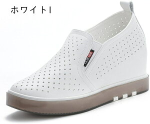 Xb| Cq[  v fB[X Xj[J[   傫TCY R  Cq[Xj[J[ ₷ Ȃ y ʋC JWA  Xj[J[ 