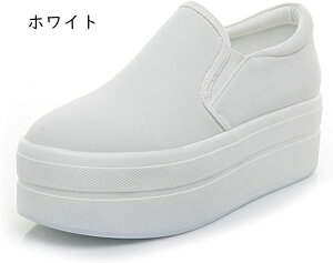 Xb| q[10cm V[NbgV[Y ɂ JWAV[Y Cq[ lC ʋ JWA ʊw d fB[XXj[J[ d f[g    ԗ