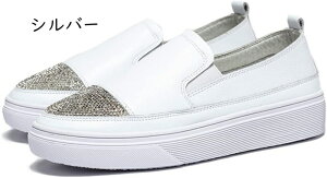  Xb| fB[X [t@[  zCg Vo[ ؑ r Xj[J[ 5cm [Jbg Ehg DJWA  ʊw s [Jbg y ʋC ~ ₷