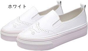  Xb| fB[X [t@[  zCg Vo[ ؑ r Xj[J[ 5cm [Jbg Ehg DJWA  ʊw s [Jbg y ʋC ~ ₷
